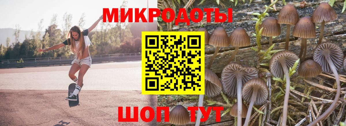 Галлюциногенные грибы Magic Shrooms Карталы